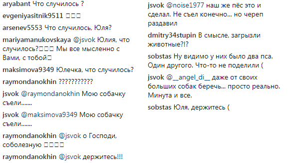 "Мою собаку з'їли": заборонена в Україні співачка шокувала соцмережу