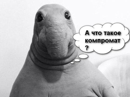 Відомий карикатурист показав "реакцію" Путіна на Ждуна