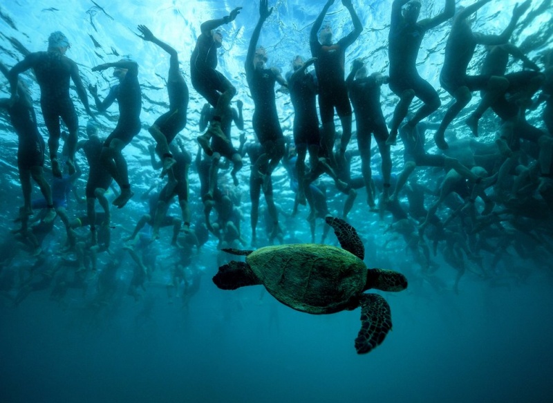 The Guardian показал самые необычные фото животных 2016 года