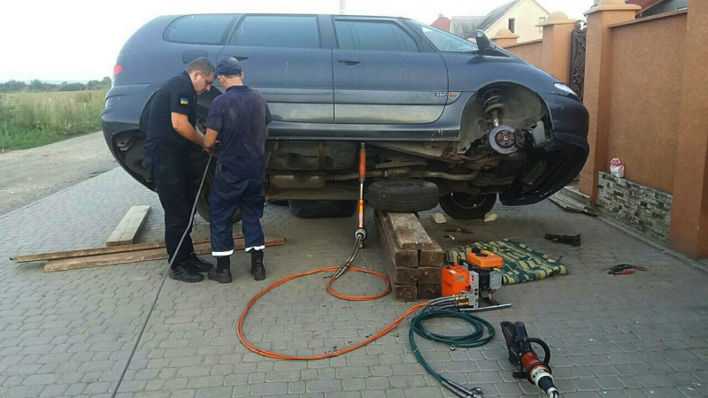 Спрятался от жары: на Закарпатье четыре часа спасали щенка