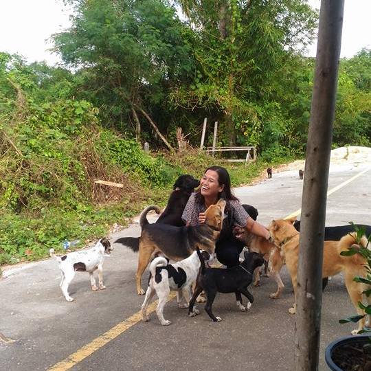 Самый галантный пес в мире дарит подарки женщине, которая его кормит