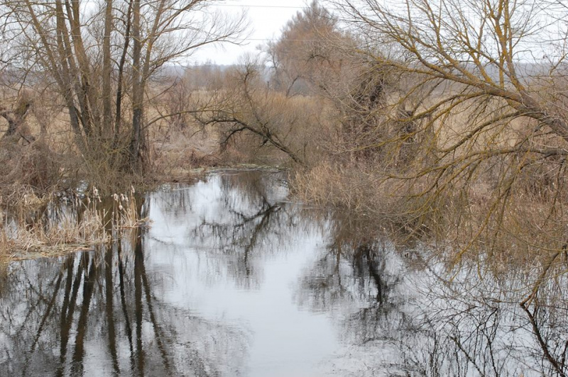 Куди поїхати на вихідні у березні: весняний Кременець, перші проліски і затишний Дрогобич