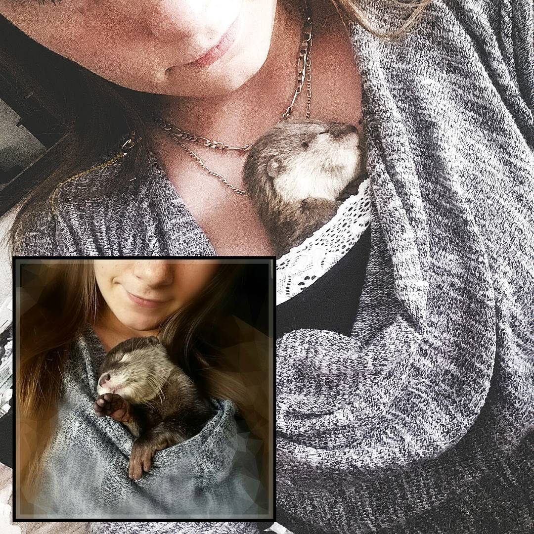 Появилось забавное видео первого купания выдренка