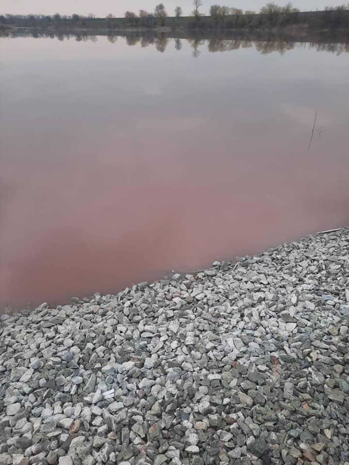 Под Днепром водоем стал ало-красным от крови погибших животных: кто творит беспредел