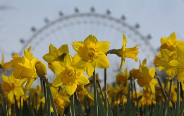 &quot;Метеорологическое лето&quot;: синоптики сообщили об окончании весны в Киеве