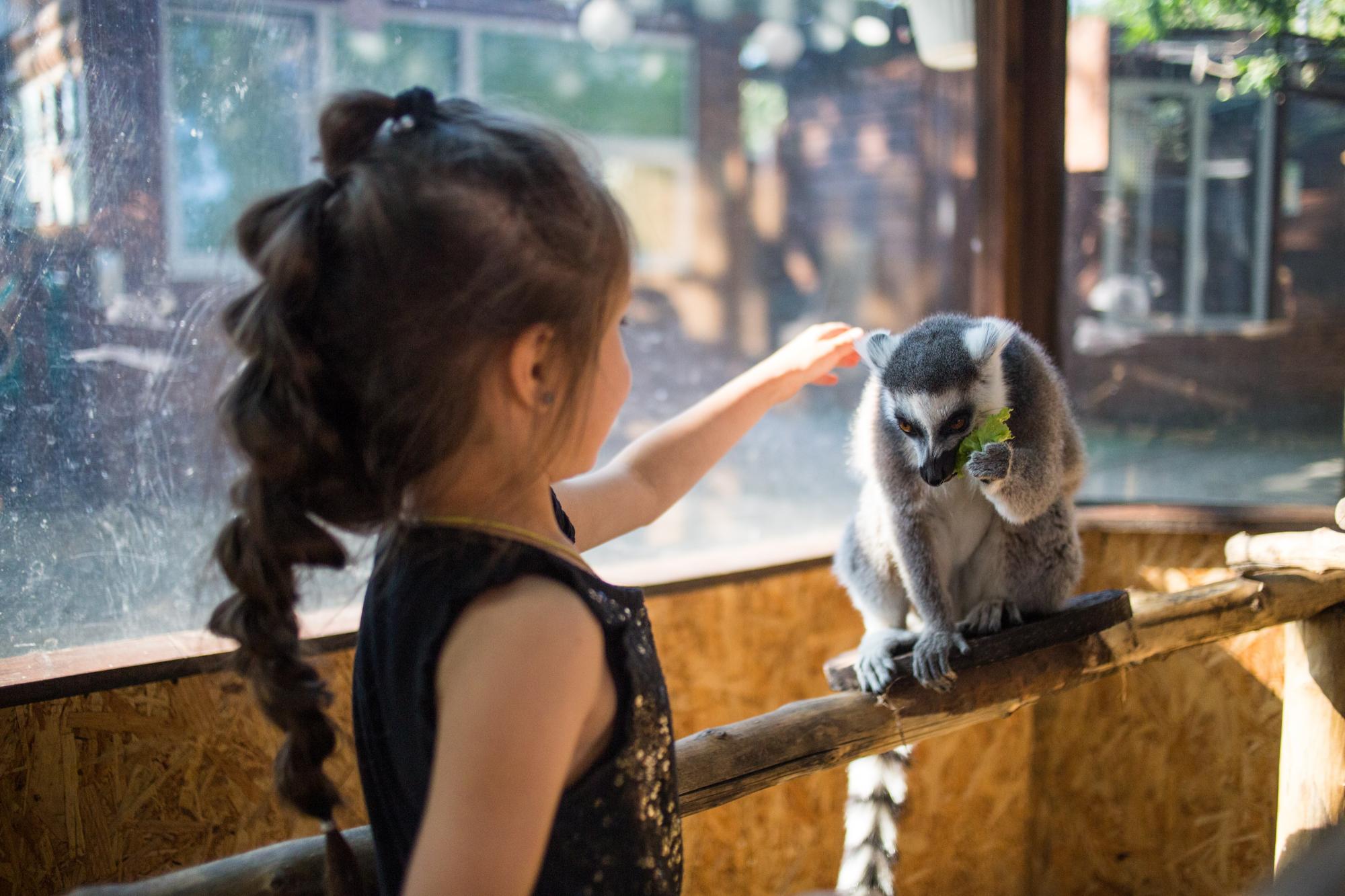 Літо в місті: де відпочити у Києві всією сім'єю