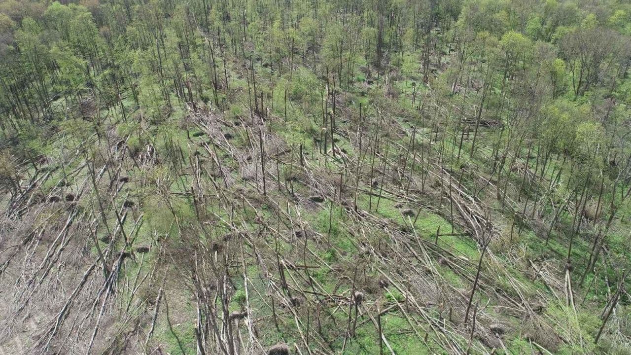 Під Житомиром пронісся руйнівний смерч: відео наслідків явища