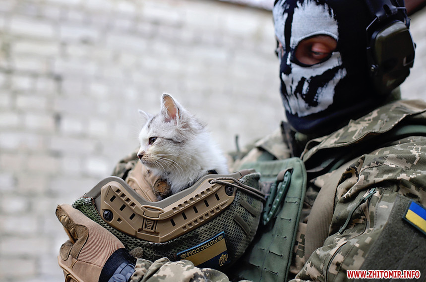 Українські воїни знялися з безпритульними тваринами, щоб допомогти знайти їм родину: милі фото