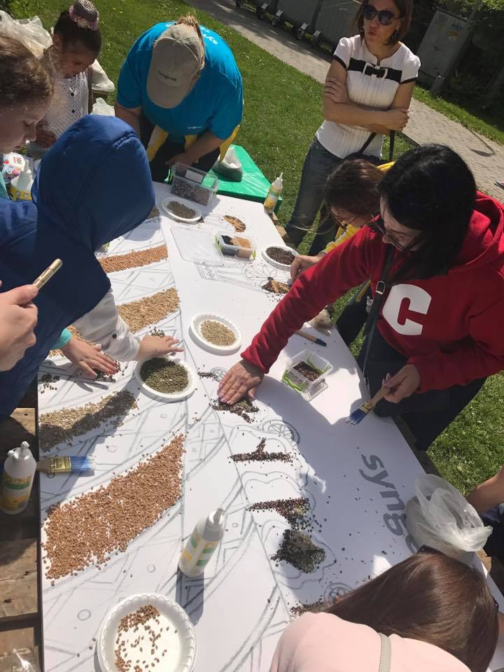 В Виннице создали уникальную картину из семян