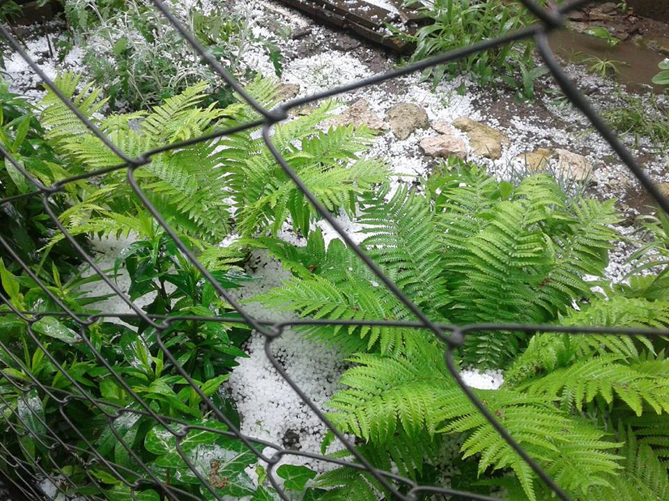 В Николаеве неожиданно выпал град