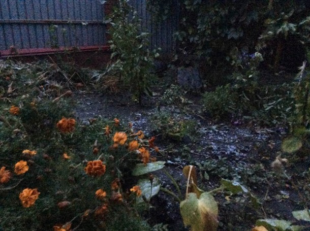 В Украине выпал первый снег: яркие фото и видео