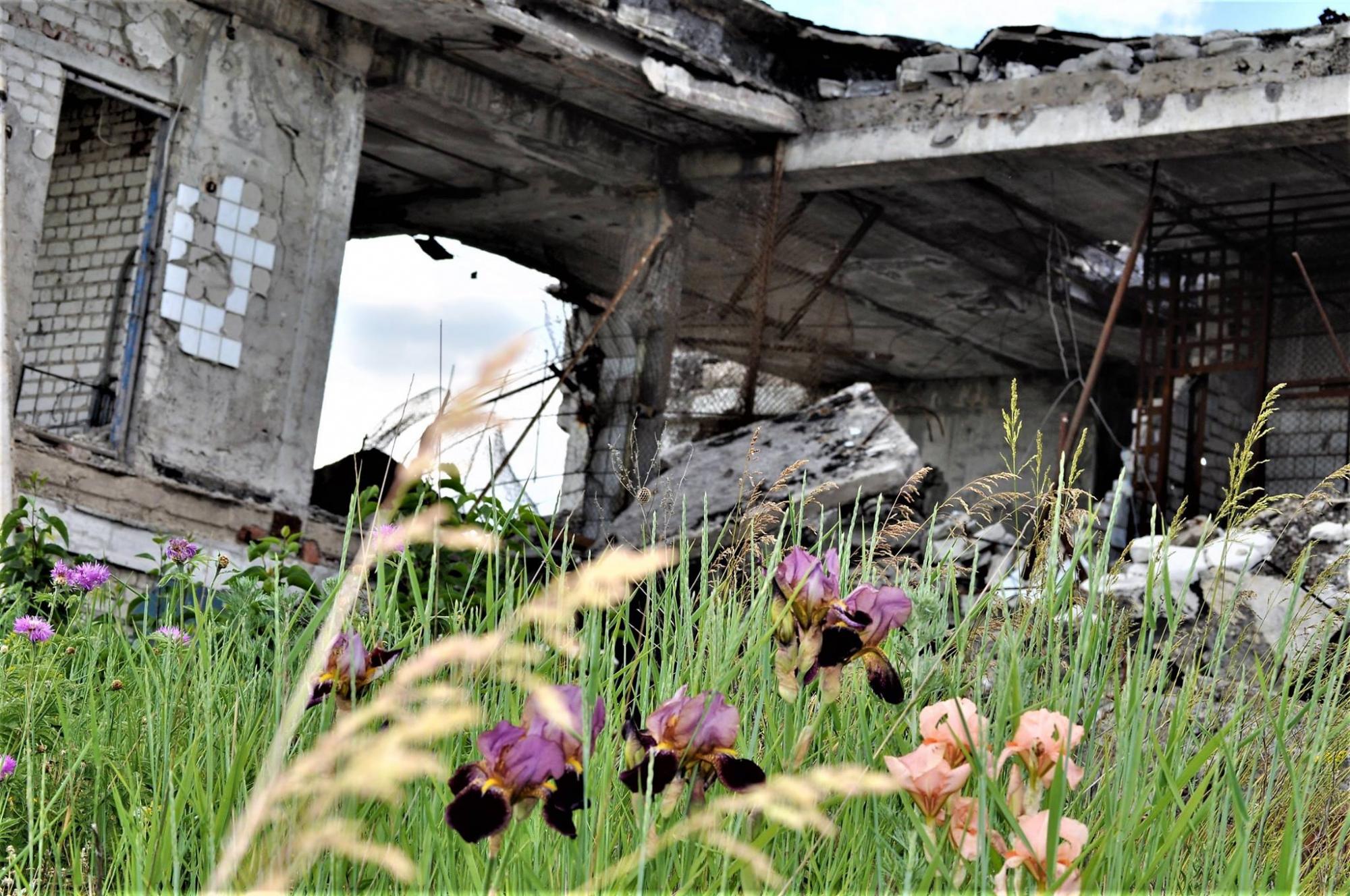 Иностранцам предлагают "тур по войне" на Донбассе: подробности скандала