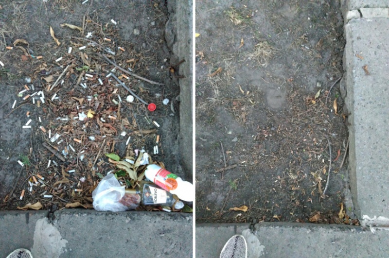 &quot;Абсолютно реально&quot;: киянин вирішив самостійно позбавити столицю від сміття