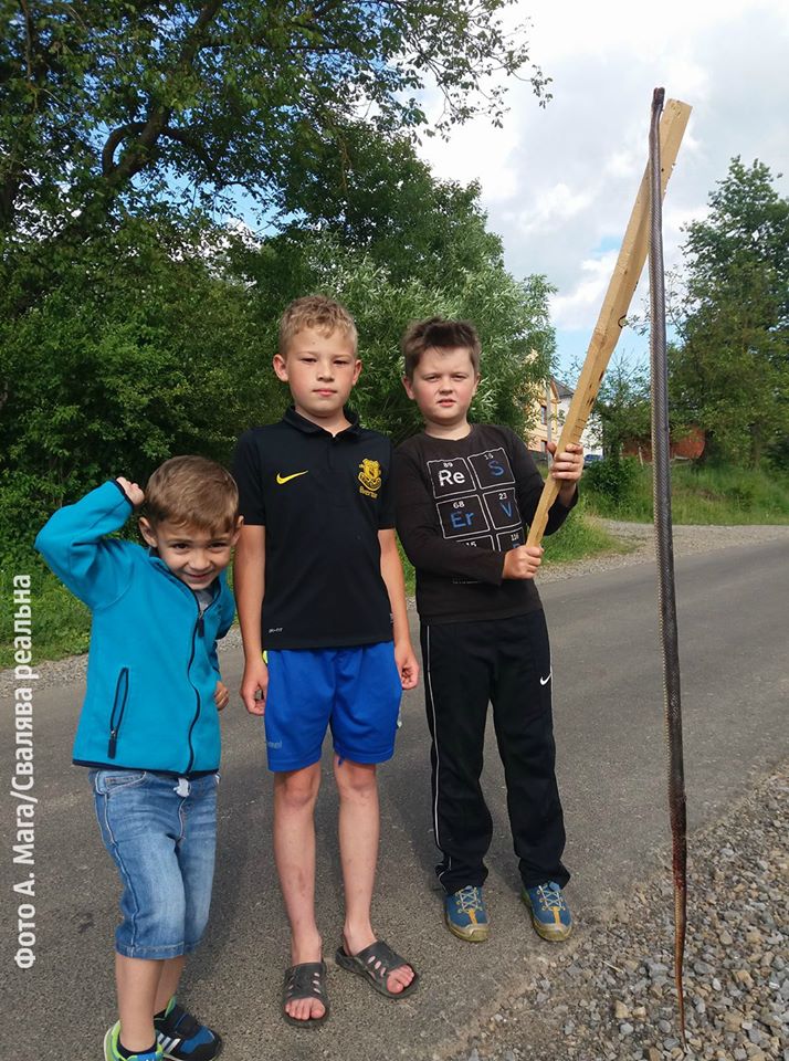 У Закарпатській області величезна змія налякала дітей