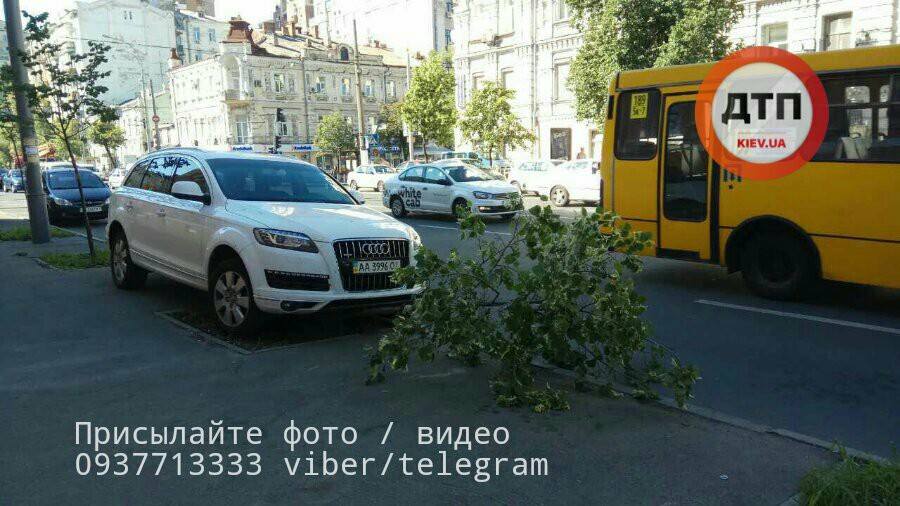 У Києві водій припаркувався на повалене дерево