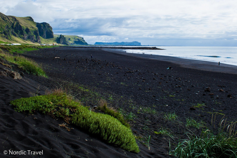 Легальна зброя, заборонені імена і скандинавські олігархи: незвичайні факти про Ісландію від українця