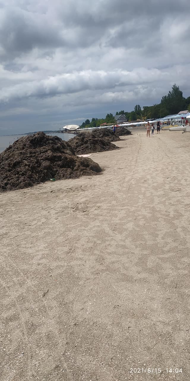 Страшная вонь и куча водорослей: украинцы расстроены отдыхом на популярном курорте