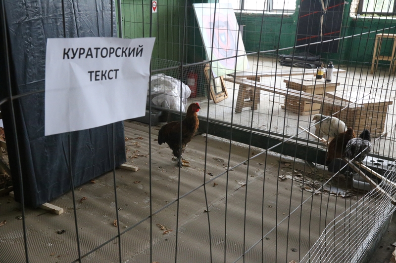 ГОГОЛЬFEST 2016: як проходить наймасштабніший арт-фестиваль країни