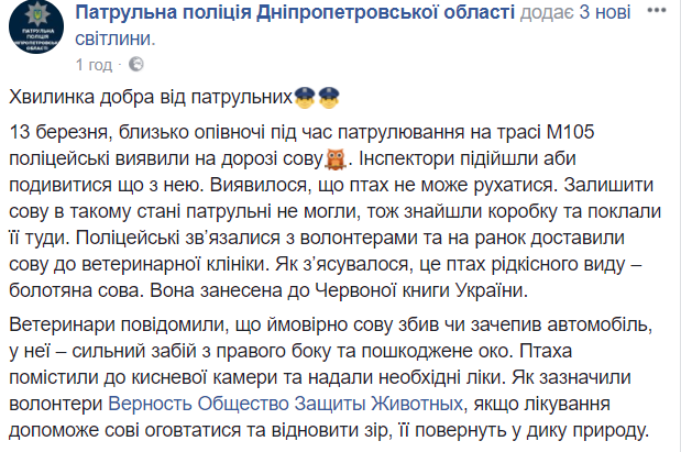 У Дніпрі поліцейські врятували рідкісну сову