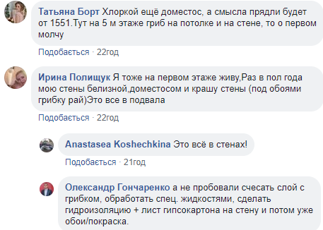 "Огород просто": в квартире киевлянки на стене от сырости выросли грибы (фото)