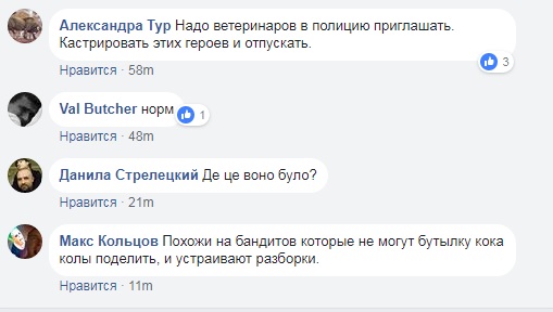 "Обличчям в землю": у Черкаській області "пов'язали" 50 "рейдерів" під час захоплення підприємства