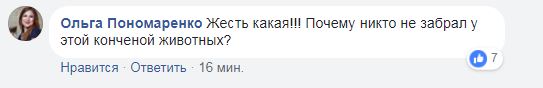 "Махала кошенятами, як ганчіркою": Фреймут шокувала мережу вчинком під Радою