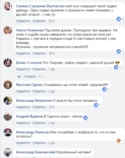 Зворушливий момент: в Одесі водій зупинився на дорозі, щоб врятувати кішку