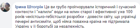 "Недруги з "ватного" і ліберального табору" лідер одеського "Правого сектора" відкинула звинувачення в антисемітизмі