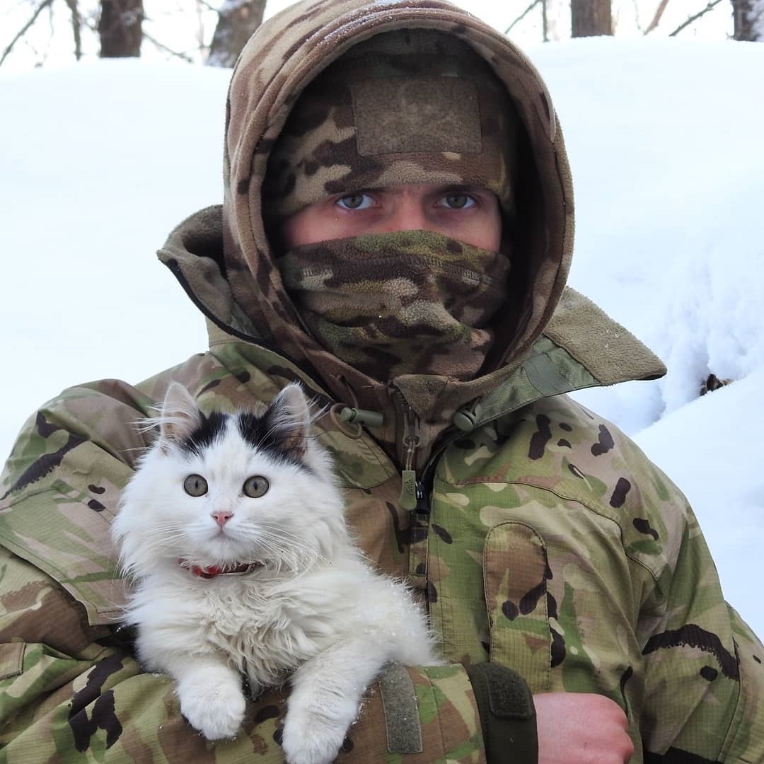 Лохматые вояки: фото верных четвероногих друзей украинских бойцов на передовой