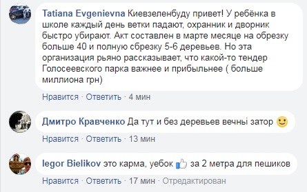 В центре Киева на автомобили упало дерево (фото)