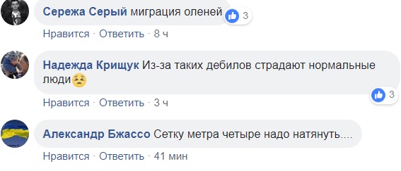 "Решил перебежать проспект": в Киеве авто сбило пьяного мужчину