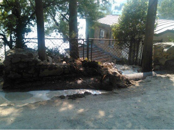 фекалии в Алупке