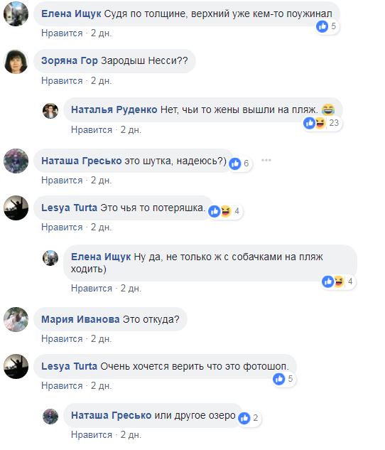 "Ужас": в Киеве на пляже отдыхали питоны (фото)