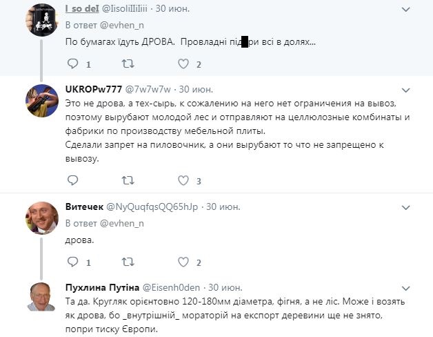 "Безлес": в сети показали, как из Украины эшелонами вывозят лес (видео)