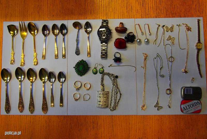 Працювали в парі: родина з України обкрадала заможних поляків (фото)