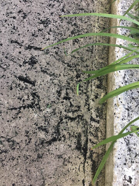 "Нестерпимый смрад": в Винницкой области из-за техногенных выбросов село "замело" сажей (фото)