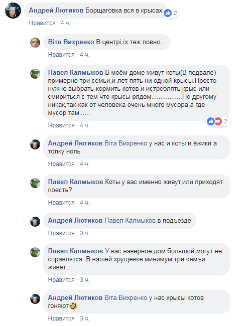"Нашествие грызунов": в Киеве пожаловались на многочисленных крыс (фото)