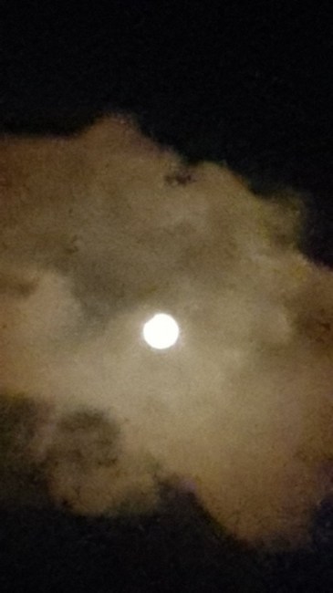 В сети появились свежие фото солнечного затмения, сделанные по всему миру