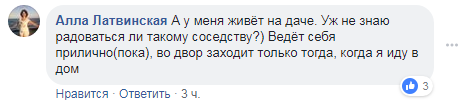 &quot;З вигляду не скажена&quot;: в Харкові по вулицях розгулює лисиця (відео)
