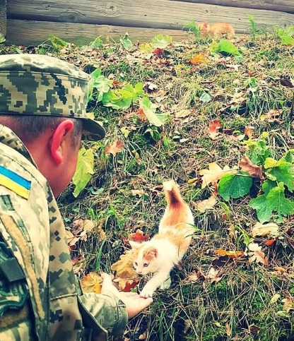 Сеть умилили трогательные животные на Донбассе
