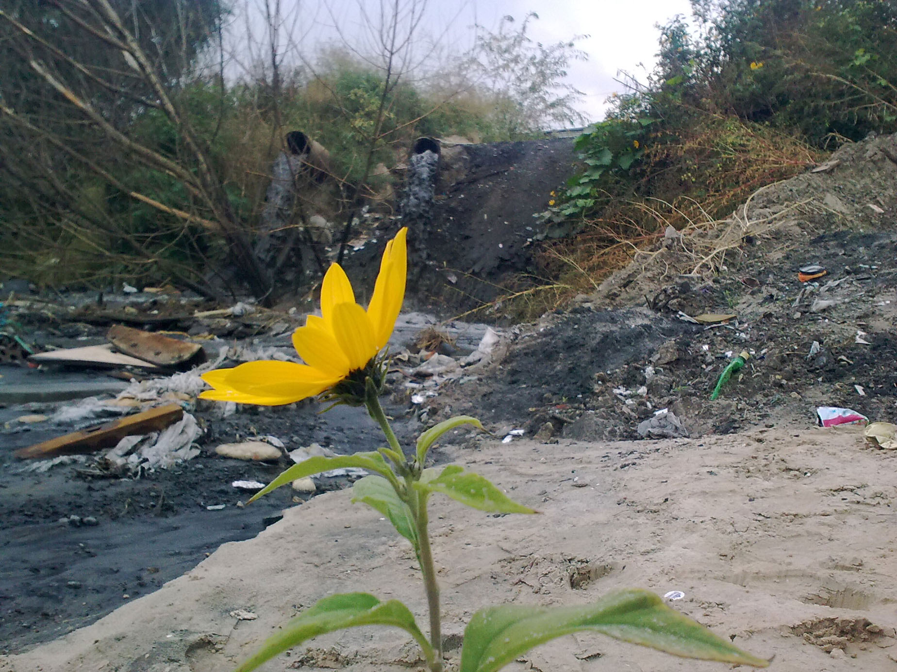 Озера Киева 