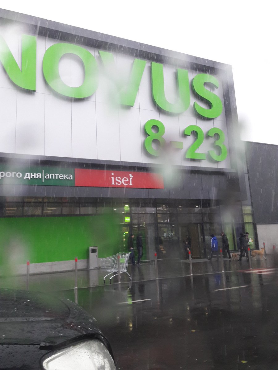 Перший сніг у Києві: в мережі діляться відео