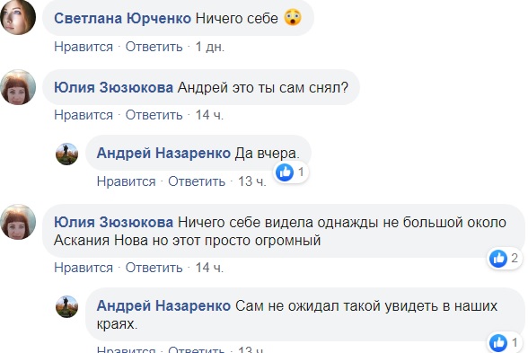 Біля українського курорту пронісся страшний смерч: потужне відео