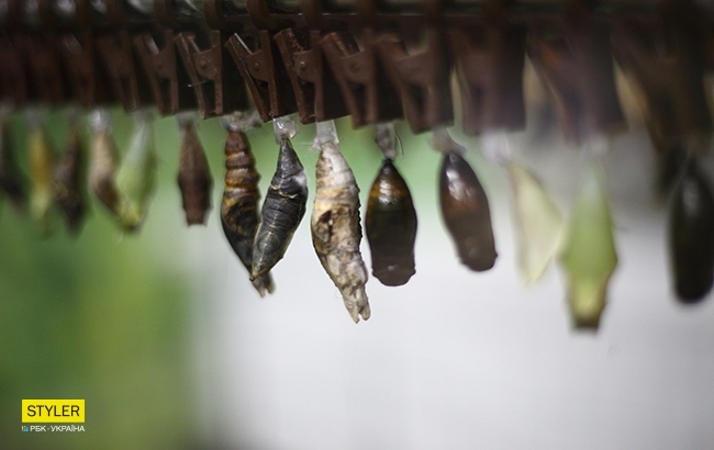 Каникулы с пользой: куда пойти со школьником