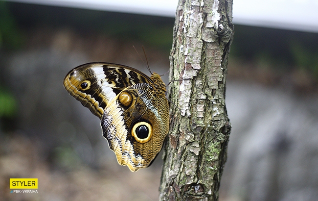 Каникулы с пользой: куда пойти со школьником