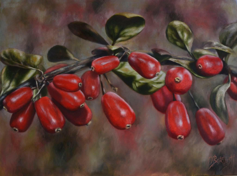 &quot;Любовью можно все изменить&quot;: откровенная история семьи со Львова, решившейся взять ребенка из приюта