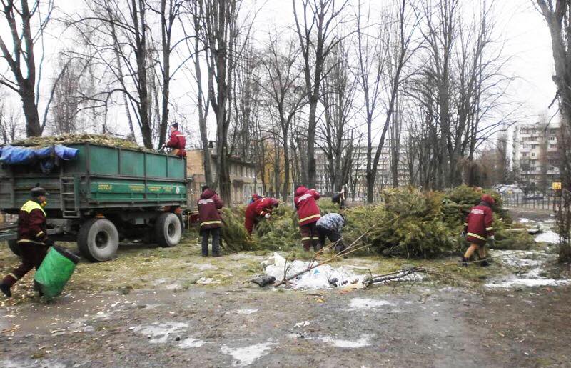 "Зелена справа": у Києві похвалилися утилізацією гори ялинок (фото)