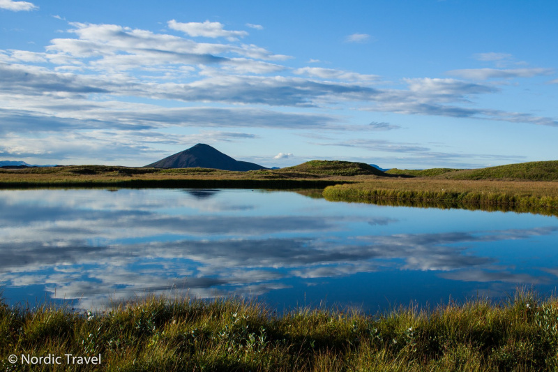 Легальна зброя, заборонені імена і скандинавські олігархи: незвичайні факти про Ісландію від українця