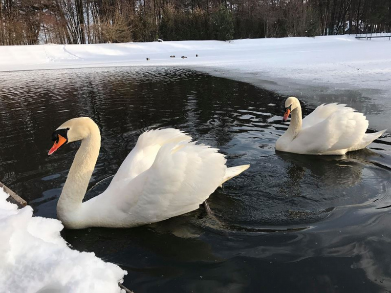 Руслана восхитила поклонников экстремальной фотосессией на снегу