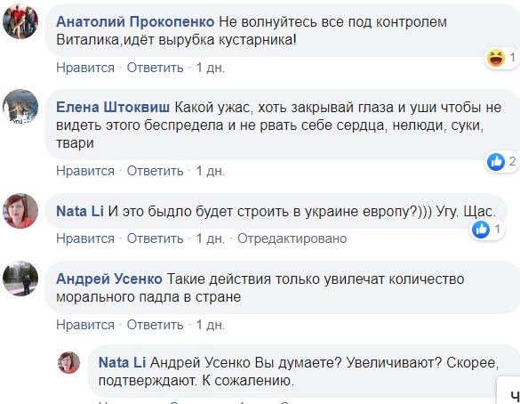 В центре Киева безжалостно рубят деревья (видео)